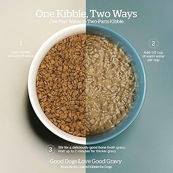 Amazon.com: Now Fresh Good Gravy Premium Dry Dog Food with